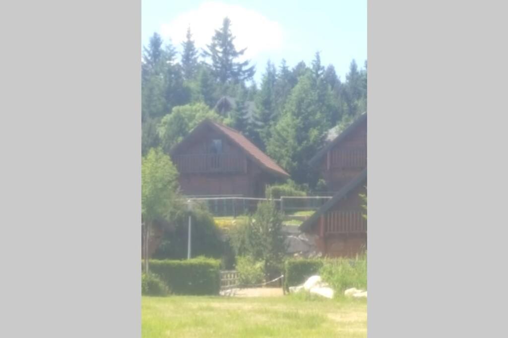 Maison De Bois Finlandaise Au Pied Des Pistes Bolquere Екстер'єр фото